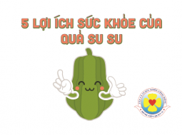 5 lợi ích sức khoẻ của quả su su