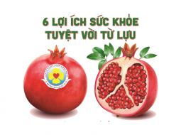 6 lợi ích sức khoẻ tuyệt vời từ lựu