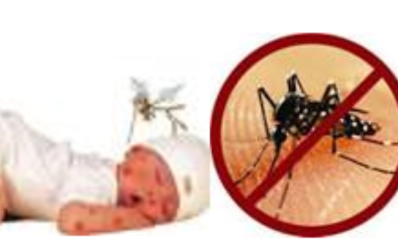 SỐT  XUẤT HUYẾT DENGUE