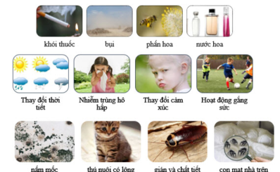 Chăm sóc trẻ hen suyễn ngoài cơn tại nhà