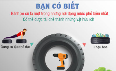 (HCDC) Bánh xe cũ là một trong những nơi đọng nước phổ biến nhất