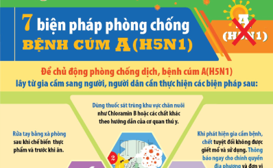 7 biện pháp phòng chống bệnh cúm A(H5N1)
