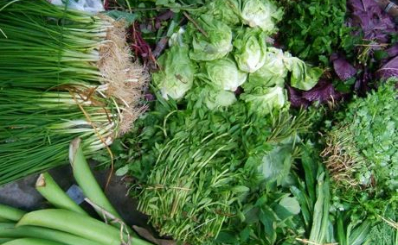 Khả năng phòng bệnh và giúp trẻ lâu của một số rau quả