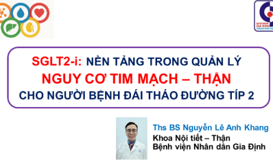 Nền tảng trong quản lý nguy cơ tim mạch - thận cho người bệnh đái tháo đường Típ 2