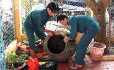 TP. Hồ Chí Minh: Mở chiến dịch tổng vệ sinh triệt nơi sinh sản của muỗi truyền bệnh sốt xuất huyết