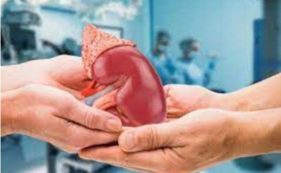 Sở Y tế TP.HCM: Kiên quyết lên án hành vi mua bán liên quan đến bộ phận cơ thể người