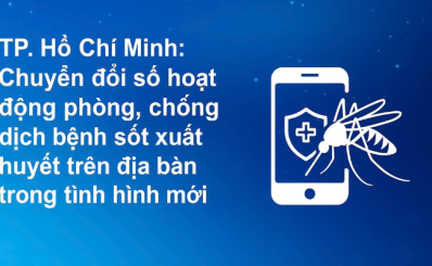 TP. Hồ Chí Minh: Chuyển đổi số hoạt động phòng, chống dịch bệnh sốt xuất huyết trên địa bàn trong tình hình mới