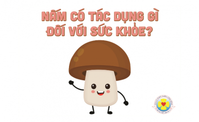 Nấm có tác dụng gì đối với sức khoẻ