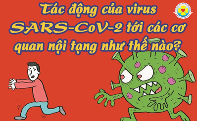 Tác động của virus SARS-CoV-2 tới các cơ quan nội tạng như thế nào?