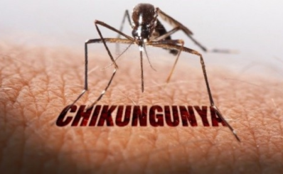 CHIKUNGUNYA: Hiện chưa phát hiện ca bệnh tại TP. Hồ Chí Minh nhưng đây là bệnh đã lưu hành tại Việt Nam cần được giám sát và dự phòng tích cực