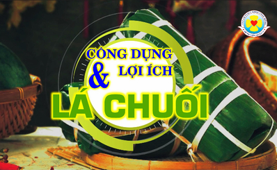 Công dụng và lợi ích lá chuối