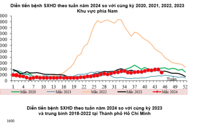 Chủ động phòng, chống dịch bệnh Sốt xuất huyết tại Thành phố Hồ Chí Minh