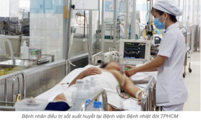 Các bệnh viện tuyến cuối đồng loạt triển khai tập huấn nâng cao năng lực chẩn đoán, điều trị Sốt xuất huyết