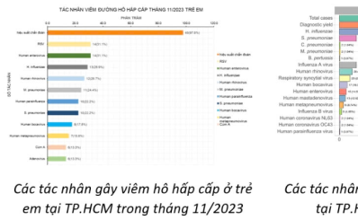Sở Y tế TP.HCM: HMPV không phải là virus mới, từng được phát hiện là một trong những tác nhân gây viêm hô hấp ở trẻ em trong các năm 2023 và 2024
