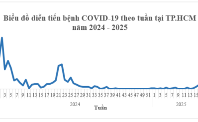 TPHCM: số ca COVID-19 tăng nhẹ trong 4 tuần qua, không ghi nhận ca bệnh nặng từ đầu năm đến nay