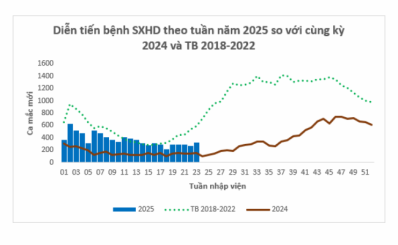 TP.HCM: Thực hiện tháng cao điểm phòng chống dịch bệnh năm 2025 - Chủ động, phòng, chống sốt xuất huyết và hưởng ứng Ngày ASEAN phòng, chống sốt xuất huyết năm 2025