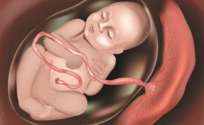Vỡ ối: dấu hiệu, nhận biết, phân biệt vỡ ối sớm, vỡ ối non