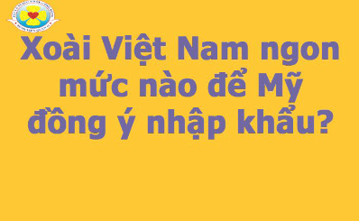 Xoài Việt Nam ngon mức nào để Mỹ đồng ý nhập khẩu?