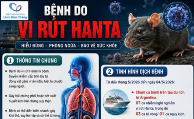Bệnh do vi rút Hanta